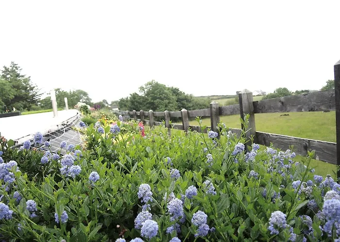 ベッド・アンド・ブレックファスト On The Rocks 3*